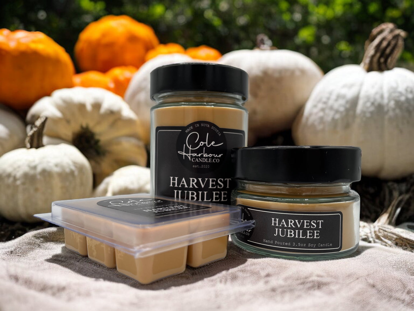 Harvest Jubilee Soy Candle
